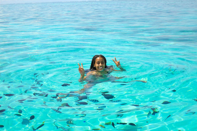 Tour particular em Zanzibar: Natação com golfinhos e snorkel em Mnemba