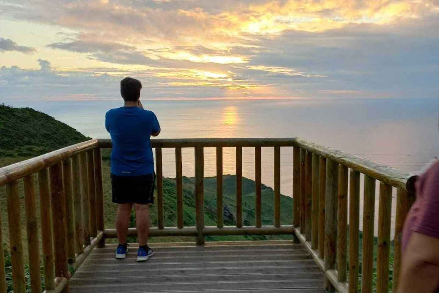 夢の島を巡る完全ガイドツアー