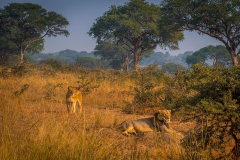 Kampala: 3-Day Murchison Falls National Park Safari