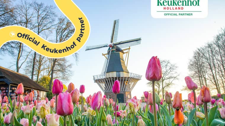 Las Mejores Actividades en Holanda Meridional