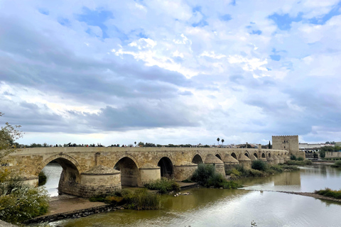 Cordoba: Tour privato a piedi dei punti salienti della città