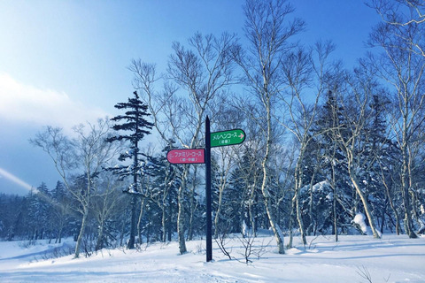 Hokkaido: Escursione di un&#039;intera giornata nella stazione sciistica di Sapporo con opzioni per l&#039;attrezzaturaViaggio con esperienza nel bacino di neve