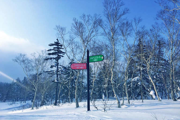 Hokkaido: Ganztägige Sapporo Skigebietstour mit Ausrüstungsoptionenskimeister zwei Stunden