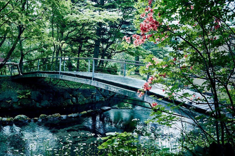 Excursão de um dia ao Santuário Hyland de Karuiizawa Koedo KawagoeSaída oeste de Shinjuku