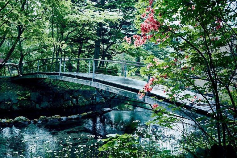 Excursion d&#039;une journée à Karuiizawa Hyland Shrine Koedo KawagoeSortie Shinjuku Ouest