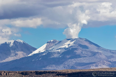 De Arequipa: Excursão ao Canyon do Colca com café da manhã e almoçoExcursão ao Canyon de Colca com café da manhã e almoço (Opção 2)