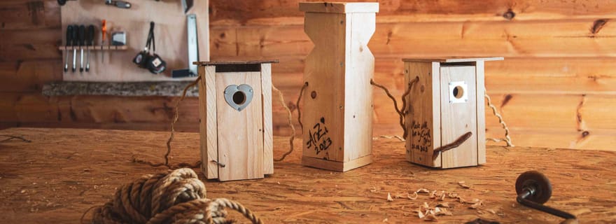 Atelier de fabrication de nichoirs, promenade en forêt et déjeuner en pleine nature à Kuusamo