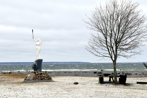 Entdecke Estland-Autotour von Tallinn nach Keila-Joa Waterfal