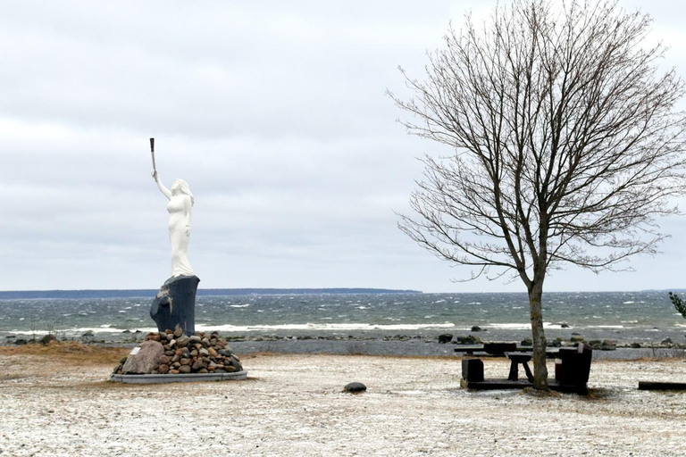 Odkryj Estonię - wycieczka samochodowa z Tallinna do Keila-Joa Waterfal