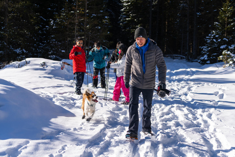 From Ljubljana/Bled: Beginner Snowshoe in Julian Alps From Bled - pickup at your accommodation