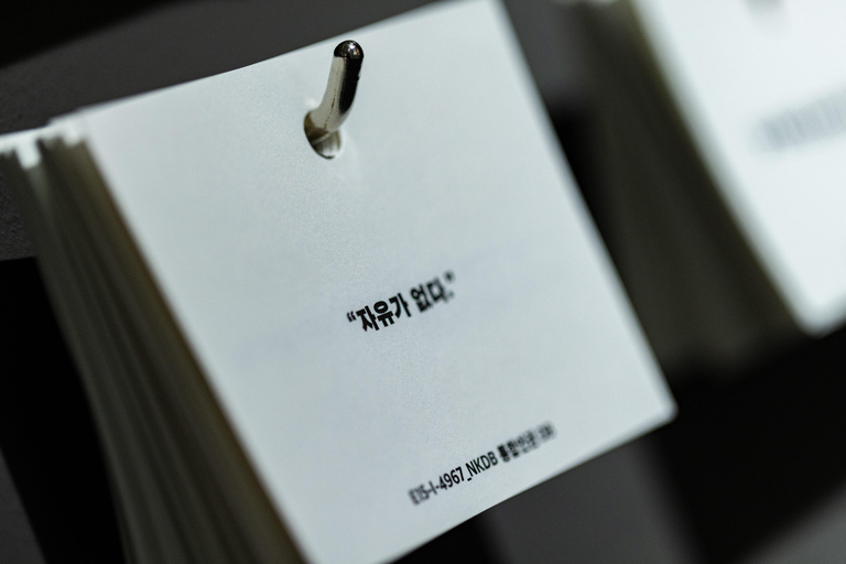 Seoul: Immersive North Korea Defector Museum with Curator