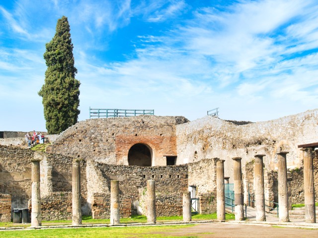 Visit Pompeii Private Tour with an Archaeologist in Pompeya