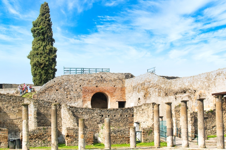 Pompéi : visite privée de 3 h avec un archéologue