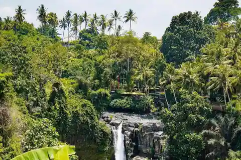 Les meilleurs points forts d'Ubud dans une visite privée d'une journée