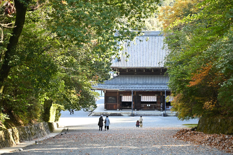 Kyoto: Sennyu-ji Temple Walking Tour with Matcha Tea