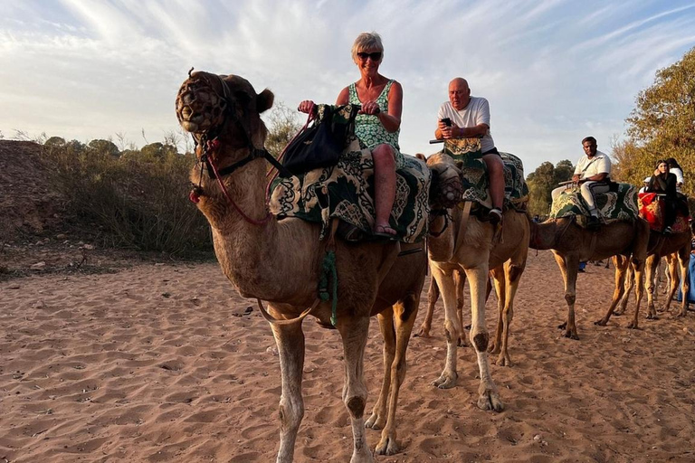 Agadir: Scenic Camel Ride Experience near Flamingo River