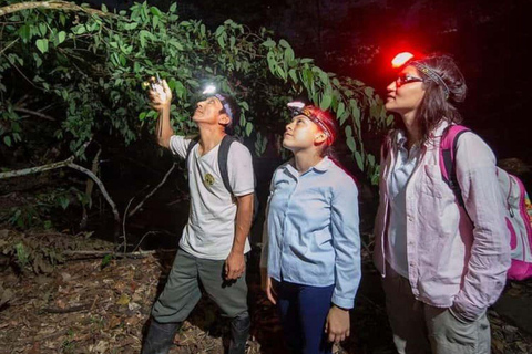 Puerto Maldonado: 3-Day Amazon Lodge Tour