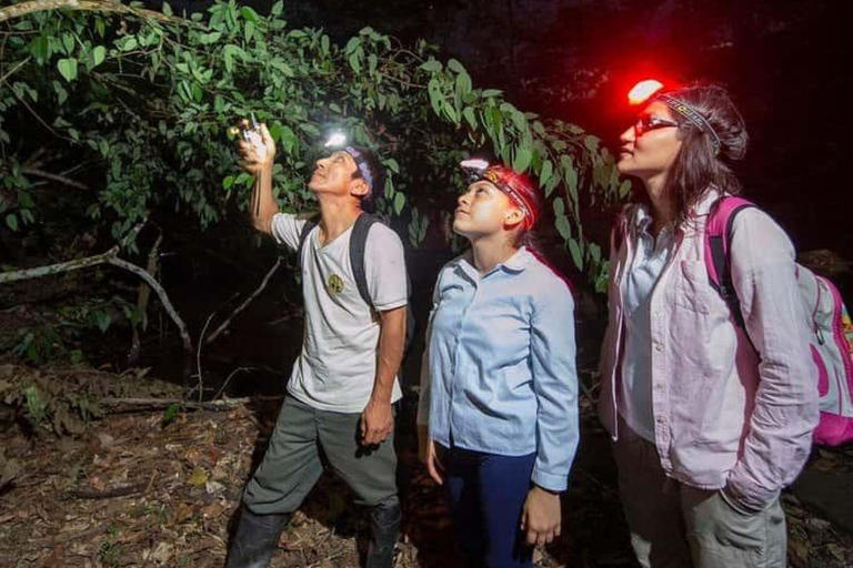 Puerto Maldonado: 3-Day Amazon Lodge Tour