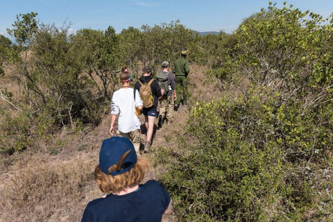 Kisumu: Kakamega Forest guided day tour