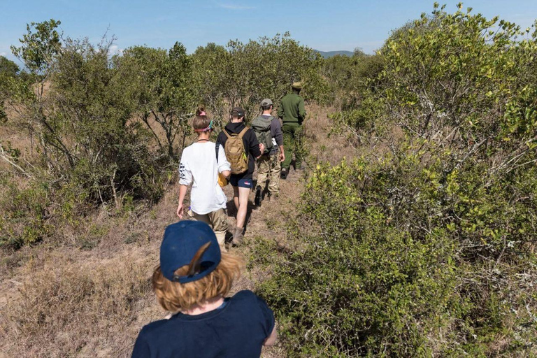 Kisumu: Kakamega Forest guided day tour