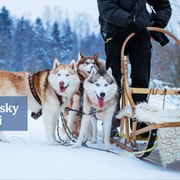Levi: Magischer Winterpfad 5 km Selbstfahrer Huskys Kleingruppe