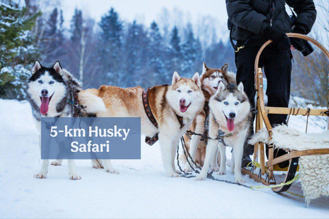 Levi: Magic Winter Trail 5 km Self-Drive Huskies Small Group Noon Husky Safari - Low Season
