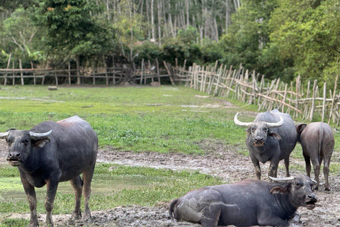 Langkawi ATV góry, dżungla i wodospad