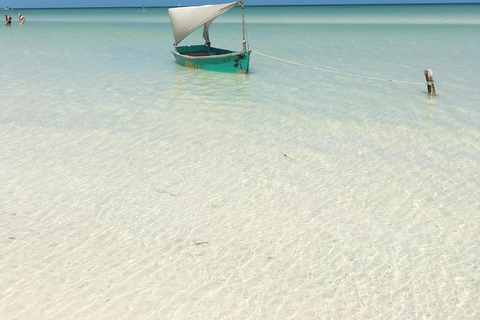 Excursión 3 Islas Holbox: Siente la Naturaleza Prístina a tu AlrededorPrivado