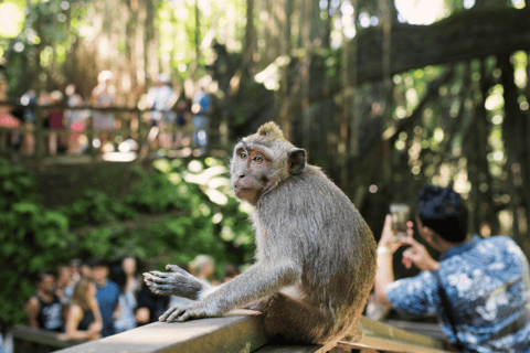 Bali: Ubud Rice Terraces, Monkey Forest & Waterfall Tour Full Package: All entry fees & lunch included