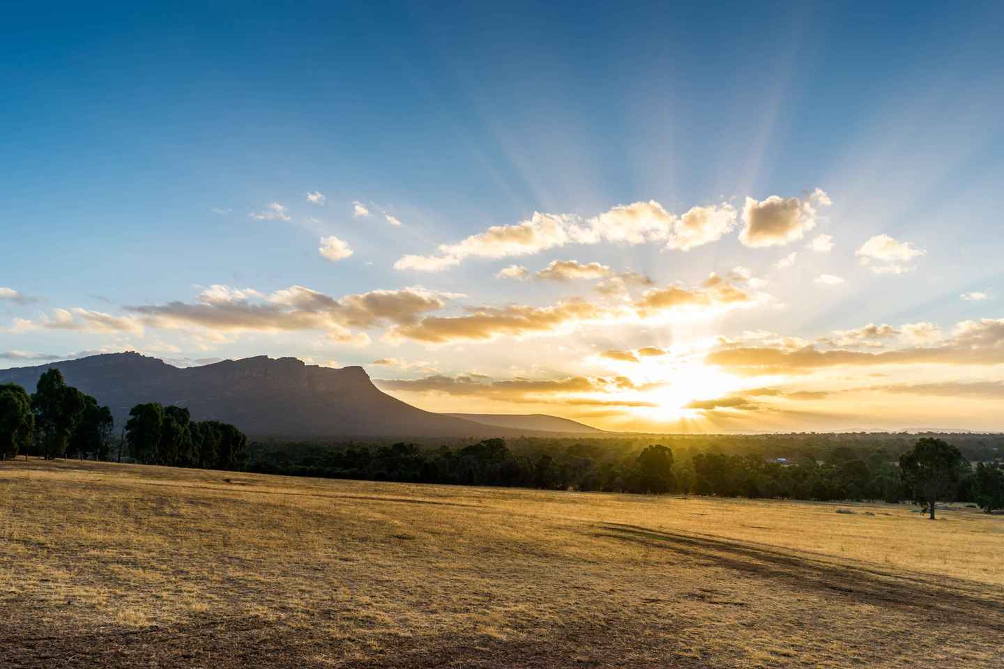 Melbourne: Private Grampians National Park Day Tours - Melbourne: Private Grampians National Park Day Tours