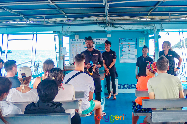 Koh Tao in a Day: Turtles, Hidden Reefs & Nangyuan Viewpoint