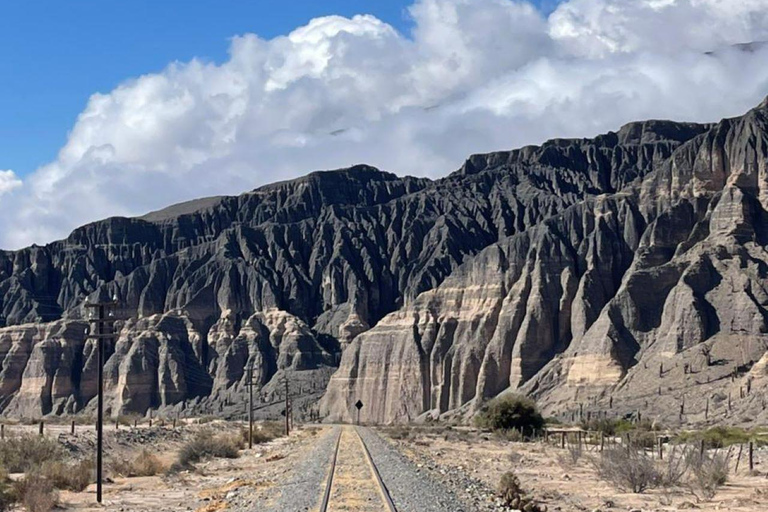 Salta: Movitren: Train to the clouds with transfer in Movitrack MOVITREN: Train + Transfer