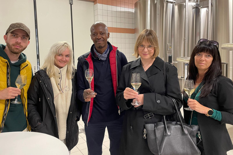 From Epernay: Champagne Day Trip with Tastings