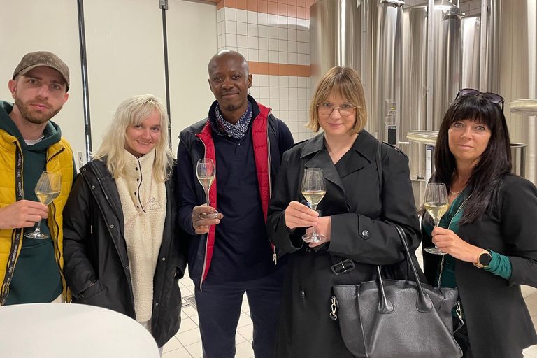 From Epernay: Champagne Day Trip with Tastings