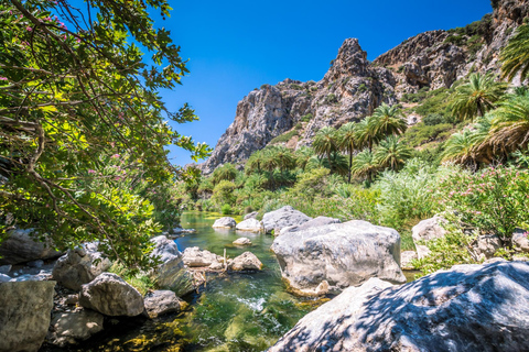 Kourtaliotiko Gorge River Trek & Preveli Beach with Lunch