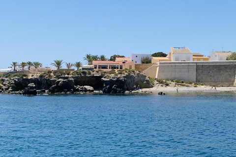 From Albir & Benidorm: Tabarca Island Day Trip From Benidorm: Gran Bali hotel