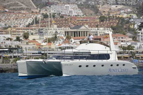 Tenerife marine-life boat tour with buffet and drinks