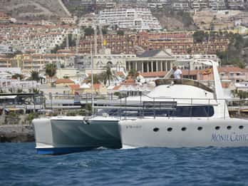 Tenerife: Excursión Vida Marina con Traslado, Buffet y Bebidas