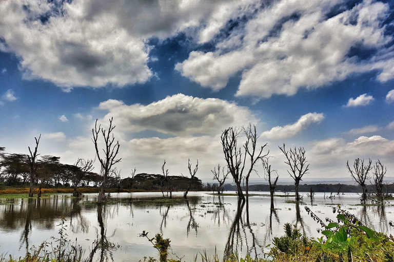 Lago Naivasha e ilha Crescent: Caminhando com animaisCaminhando com animais na ilha Crescent Safári de barco