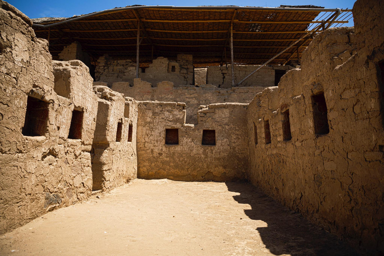 From Cruise Ship: Tour to the Ballestas Islands and Tambo Colorado Arequipa: Ballestas Islands and Tambo Colorado Tour