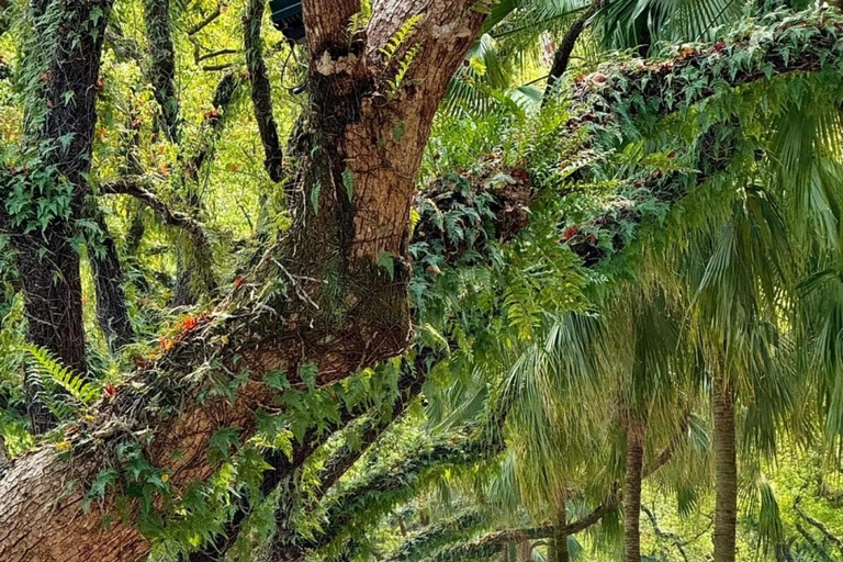 Guilin: Guided Walking Tour with Night Market Visit