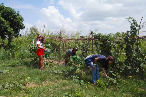 Phnom Penh: Dorpsrondleiding met kook- en etherische-olie-lesPhnom Penh: Dorpsrondleiding met kookles en workshop etherische oliën