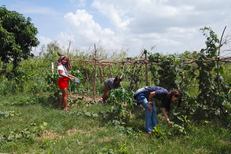 Phnom Penh: Dorpsrondleiding met kook- en etherische-olie-lesPhnom Penh: Dorpsrondleiding met kookles en workshop etherische oliën