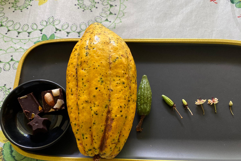 Medellin : Visite d&#039;une ferme de cacao et fabrication de chocolat, près de la villeVisite partagée