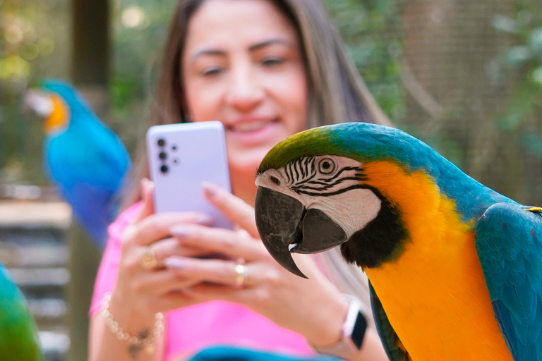 Foz do Iguaçu: tour guidato alle cascate di Iguazu