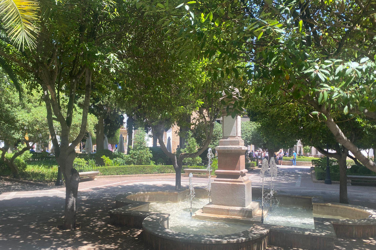 vanaf Estepona: Ronda privé, vervoer, café, stierenvechtarena, tapas, drankjes