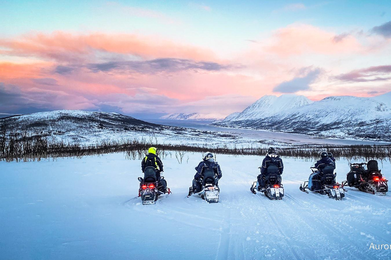 Tromsø: Lyngen Alps Guided Snowmobile Tour/ Afternoon