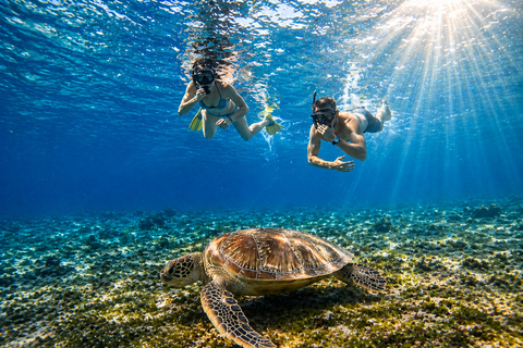 Gili Air: Private 4-Hour Snorkeling Tour