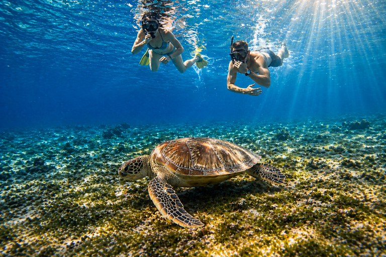 Gili Air: Private 4-Hour Snorkeling Tour