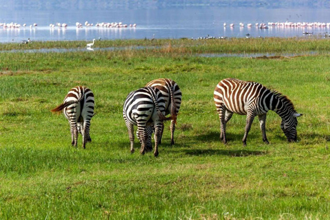 Lake Nakuru & Naivasha National Park Wildlife Highlights